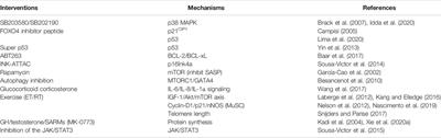 Cellular Senescence in Sarcopenia: Possible Mechanisms and Therapeutic Potential